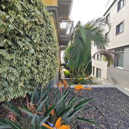 La Pura Vida Apartment