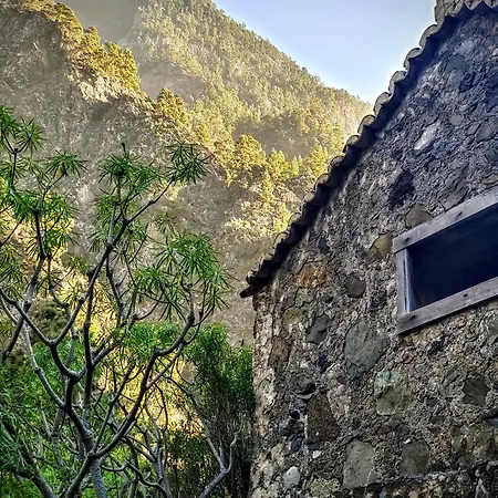 La Pura Vida Apartment *